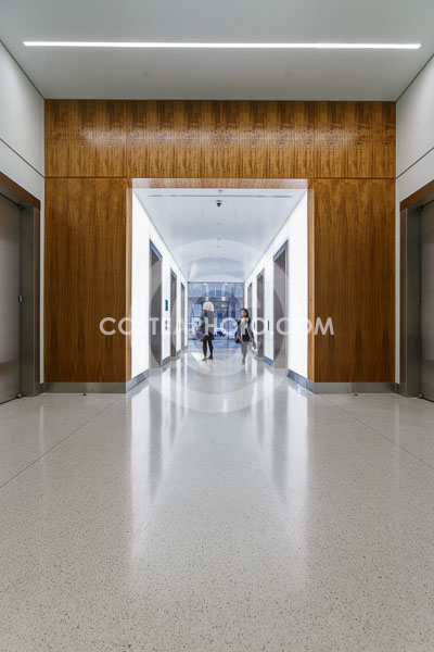 107-_T8A5007.JPG