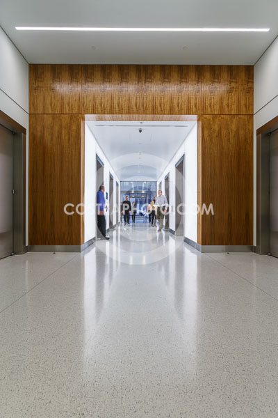 110-_T8A5013.JPG