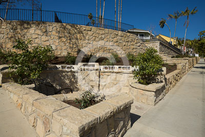 186-_T8A6775.JPG
