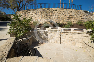 188-_T8A6789.JPG