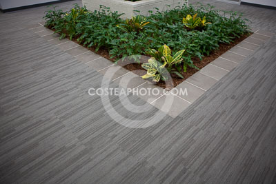 088---_MG_4226.JPG