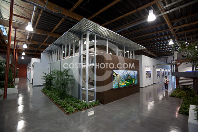 123---_MG_0381.JPG