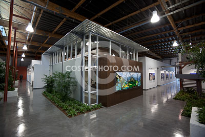 124---_MG_0388.JPG