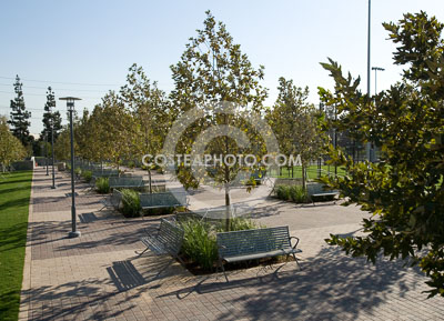 010_W7H4835.JPG