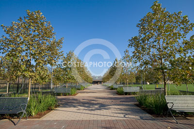019_W7H4535.JPG