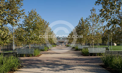 020_W7H4538.JPG