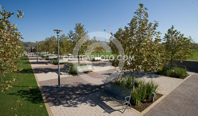 028_W7H4583.JPG