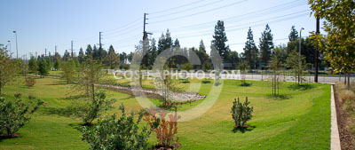 135_W7H4748.JPG