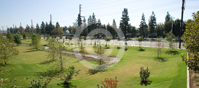 137_W7H4756.JPG