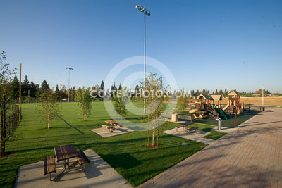 140_W7H4523.JPG