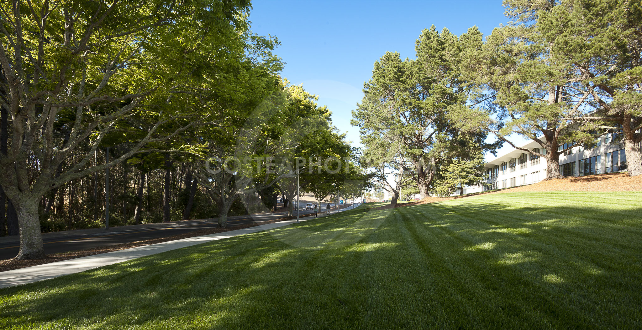 (288) _MG_5753 (2)