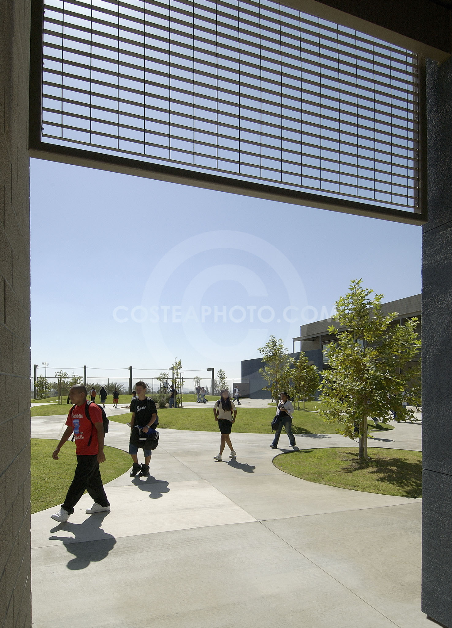 Blue-Courtyard-8.JPG