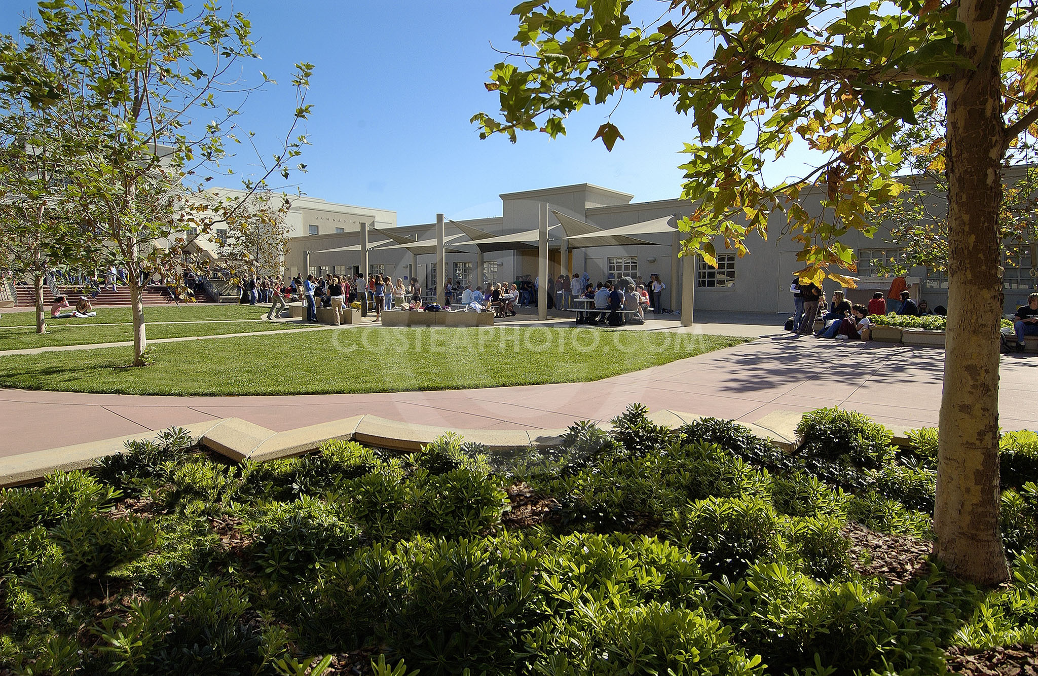 Large Courtyard with students