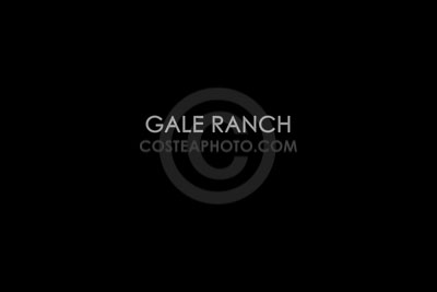 (007)-GALE-RANCH.JPG