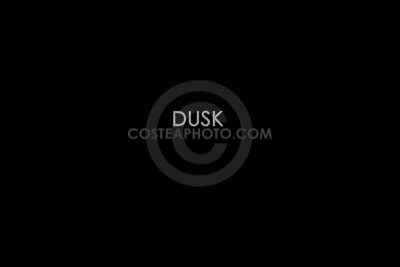 (313)-TITLE-PAGE---DUSK.JPG