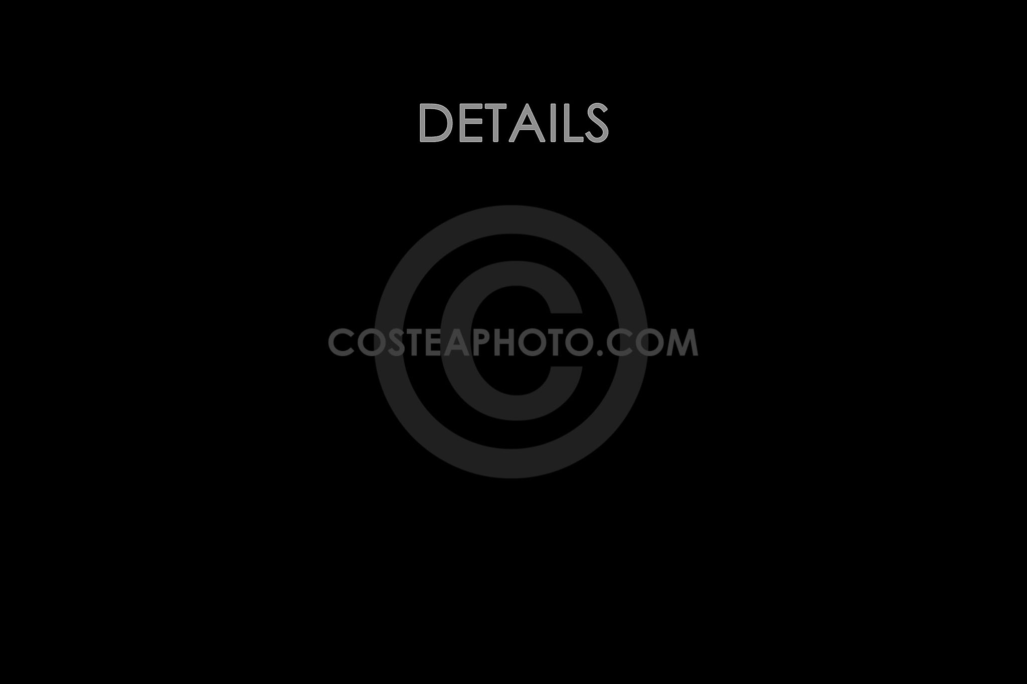 (048) TITLE PAGE - DETAILS
