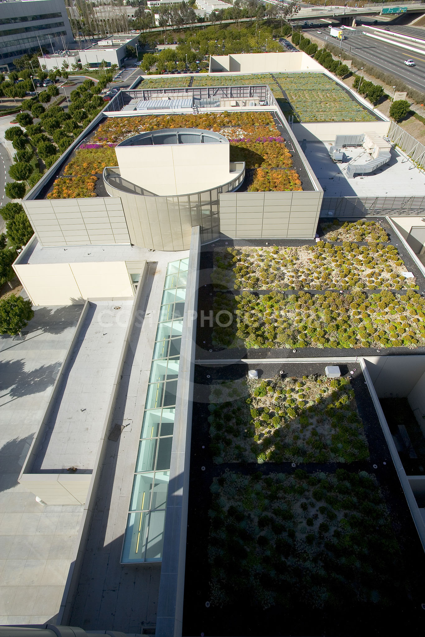 PAG Green Roof 001