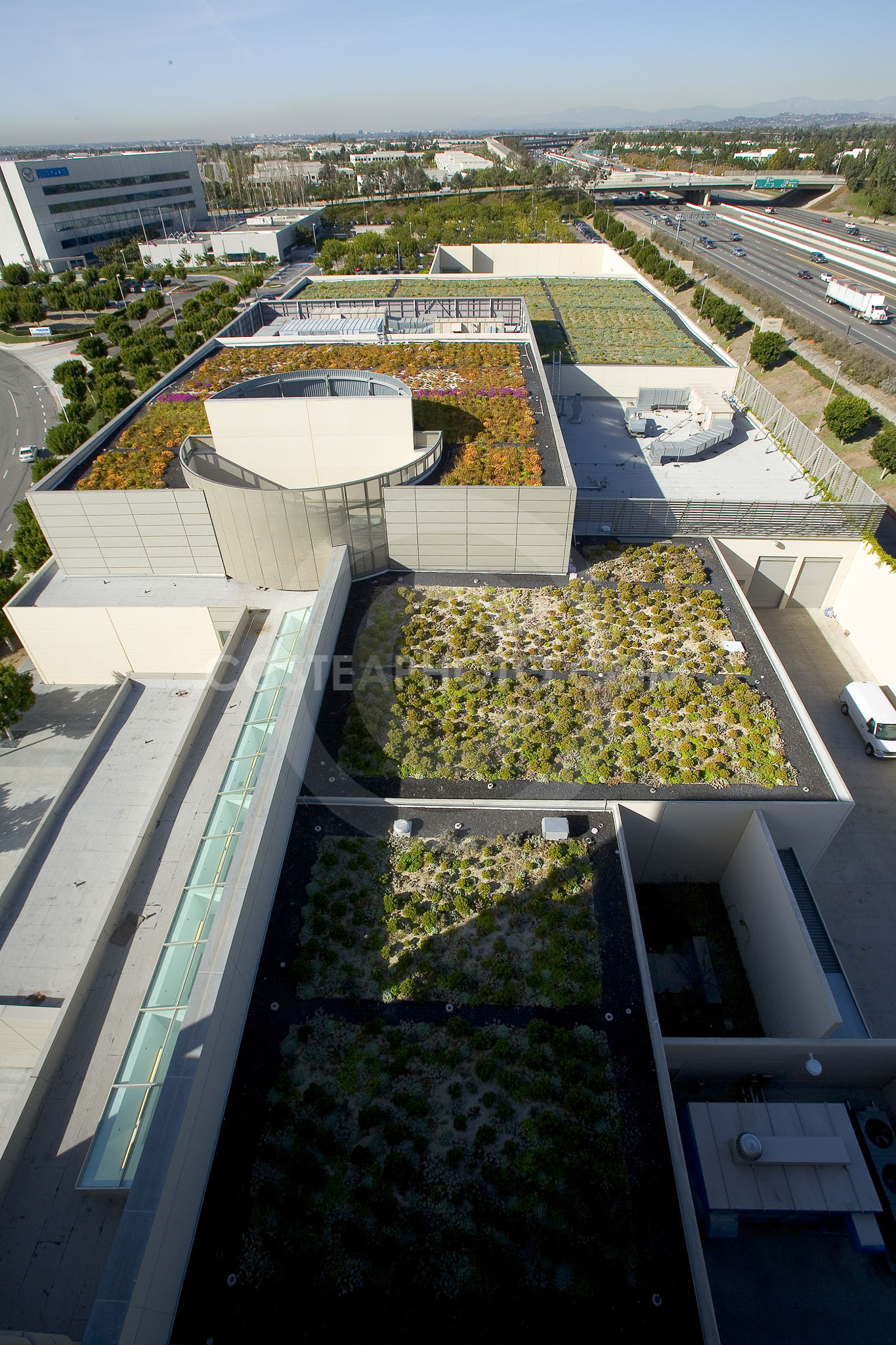 PAG Green Roof 002