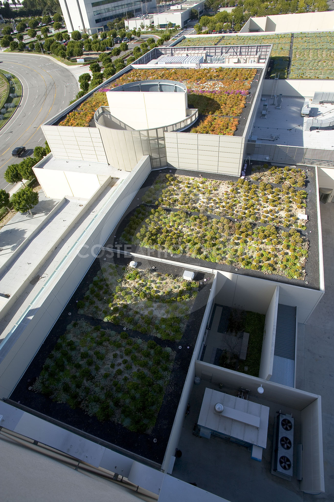 PAG Green Roof 003