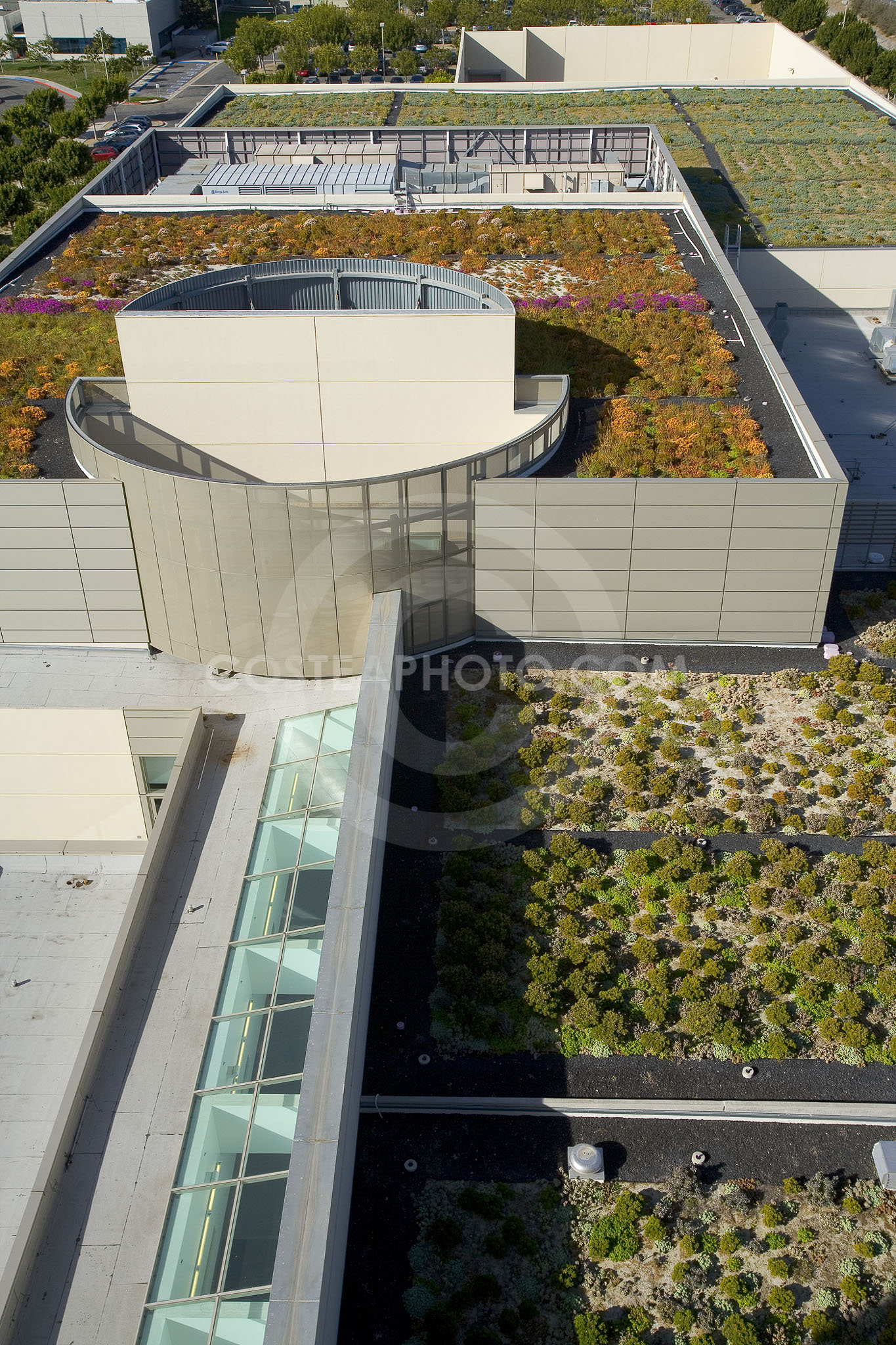 PAG Green Roof 005