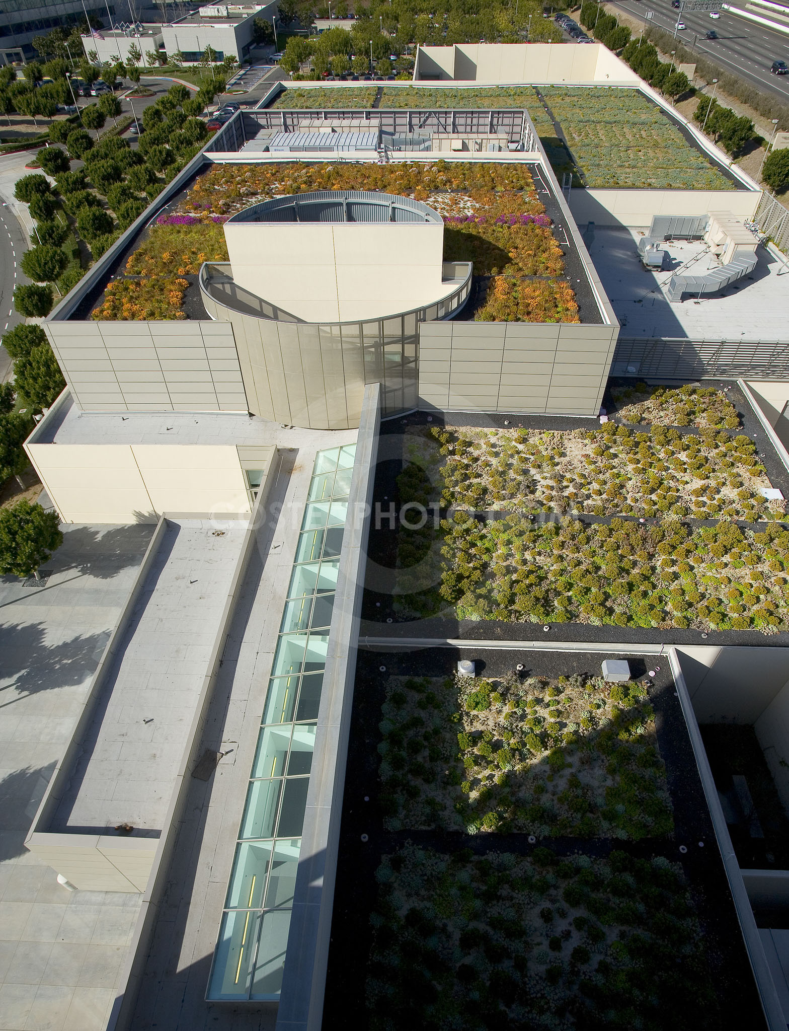 PAG Green Roof 006