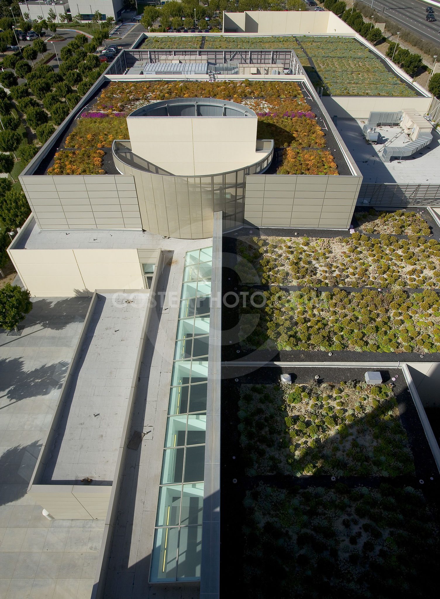 PAG Green Roof 007