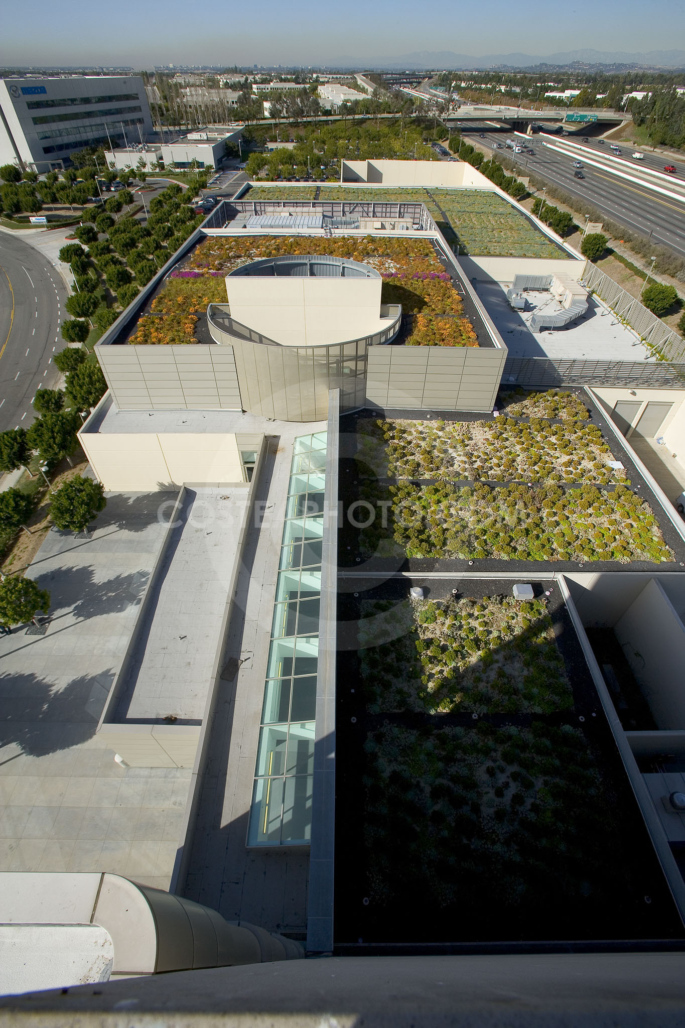 PAG Green Roof 008