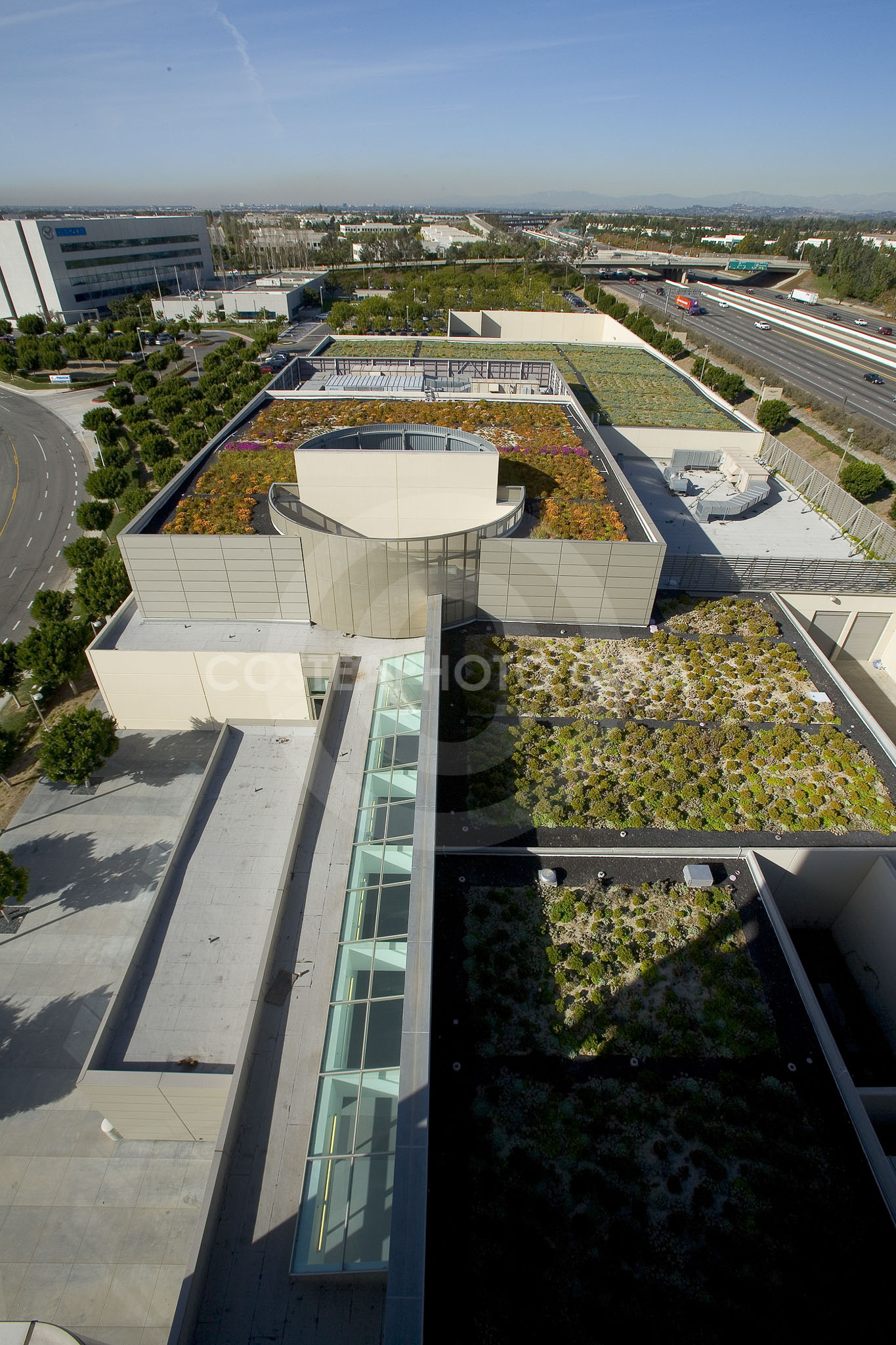 PAG Green Roof 009