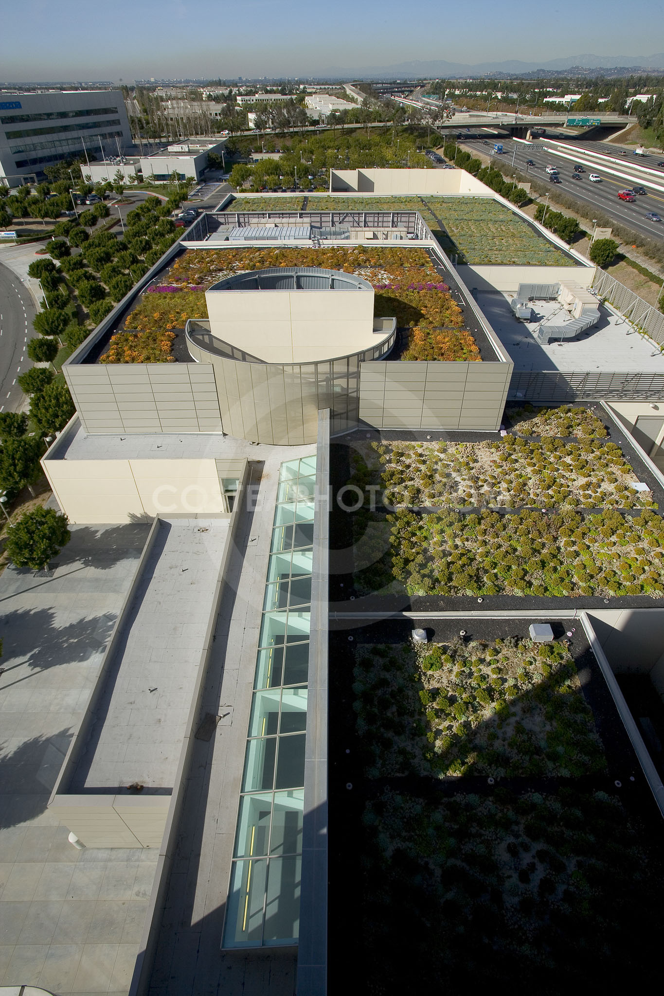 PAG Green Roof 010