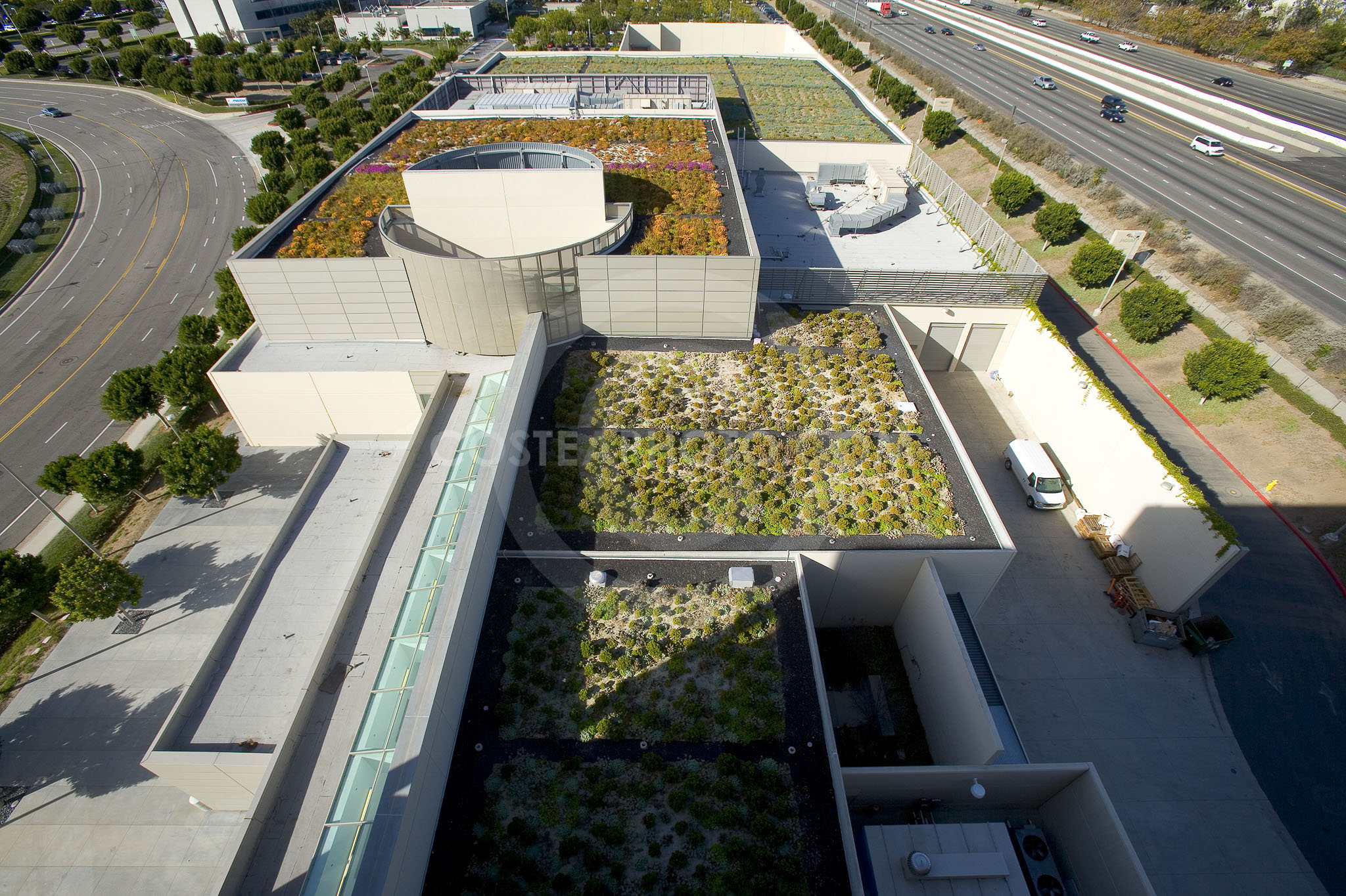 PAG Green Roof 016