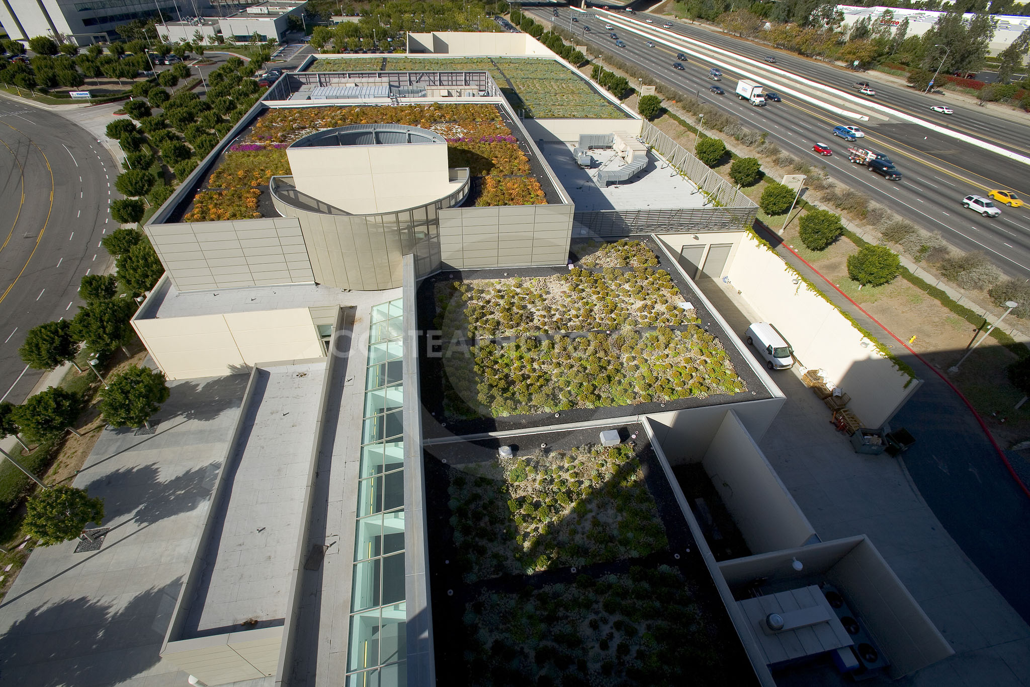 PAG Green Roof 019