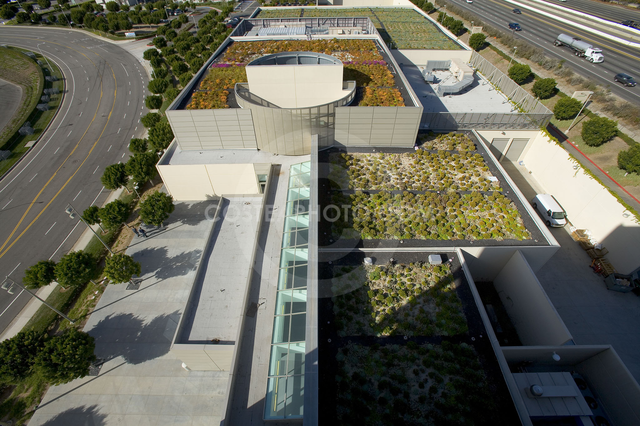 PAG Green Roof 020