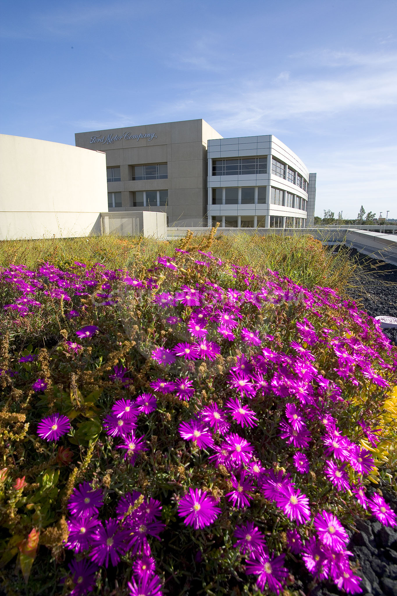 PAG Green Roof 027