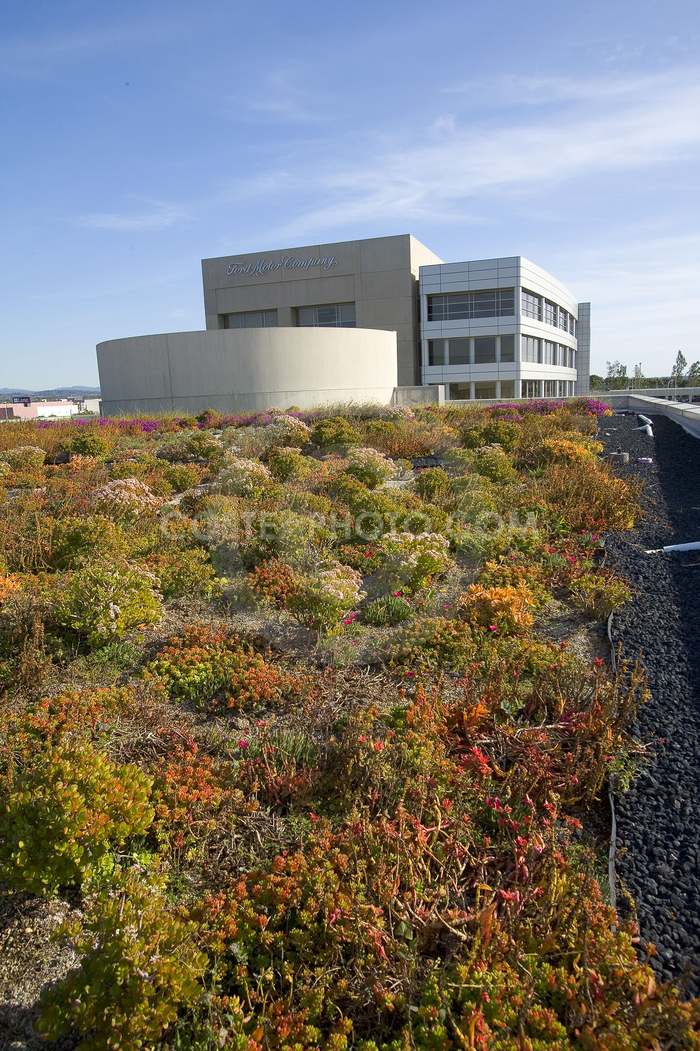 PAG Green Roof 028