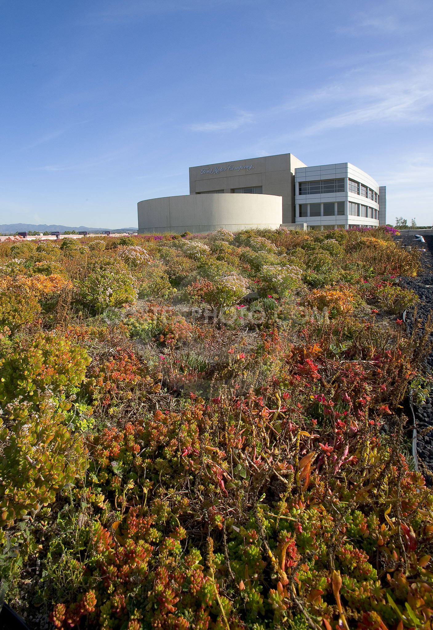 PAG Green Roof 029