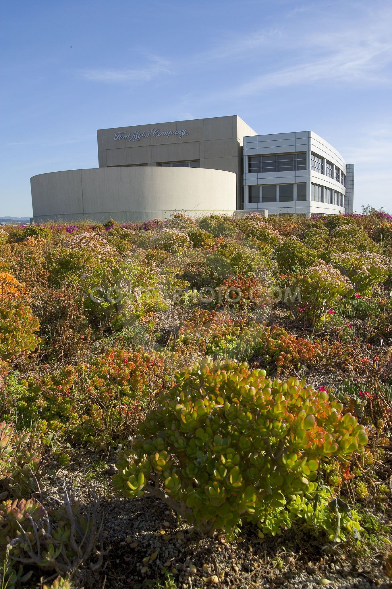 PAG Green Roof 030