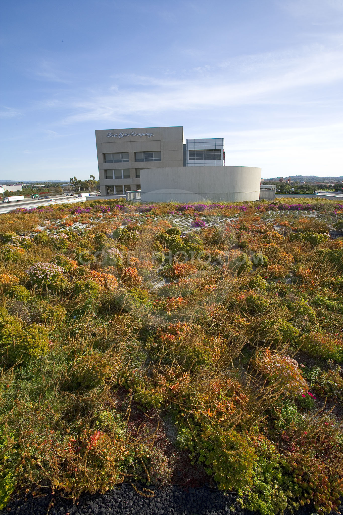 PAG Green Roof 031
