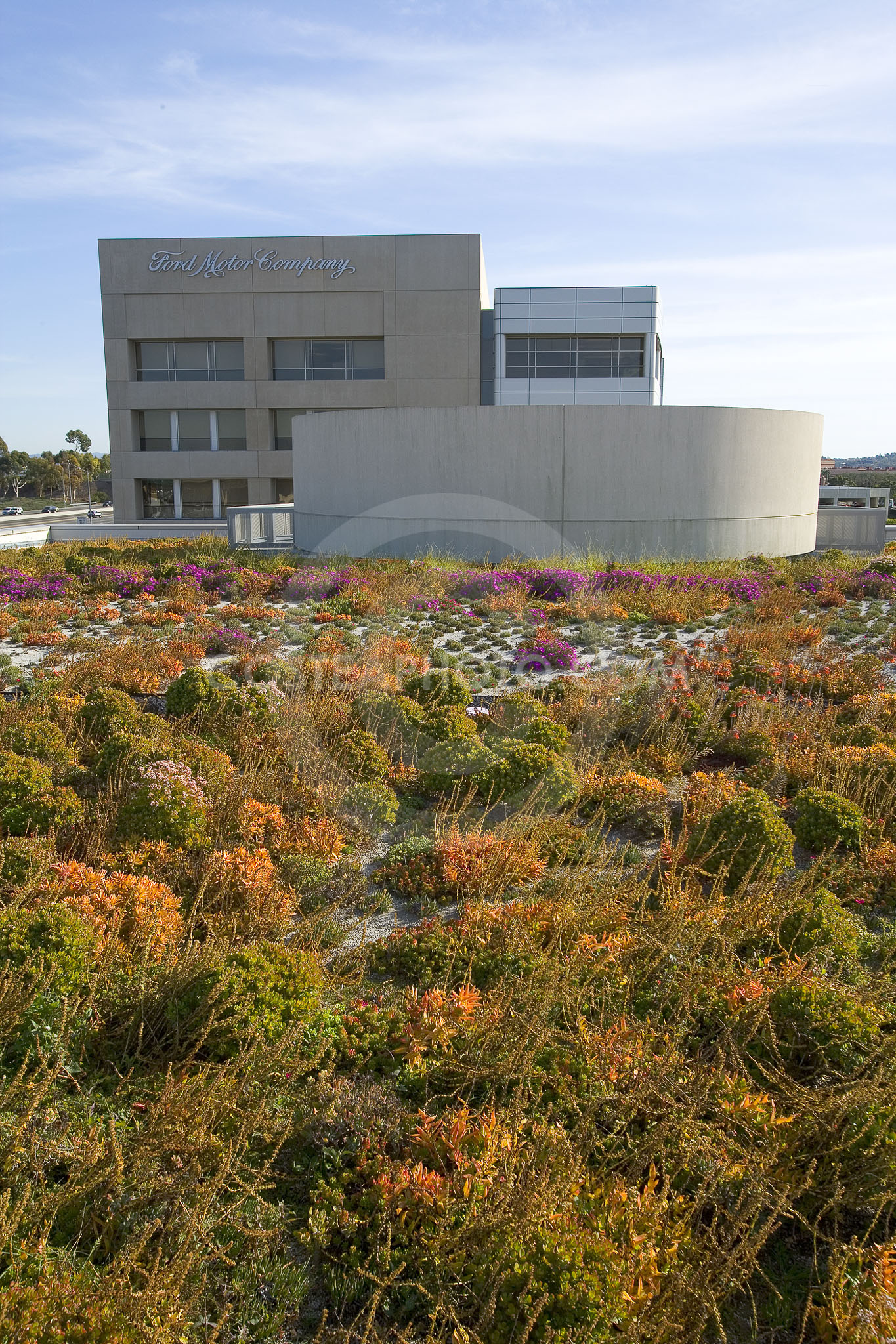 PAG Green Roof 032