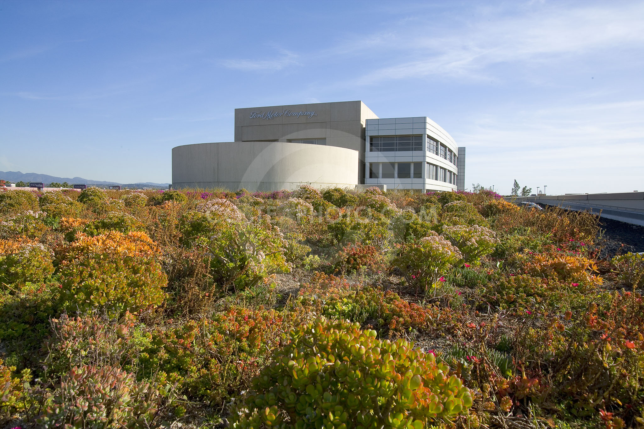 PAG Green Roof 033