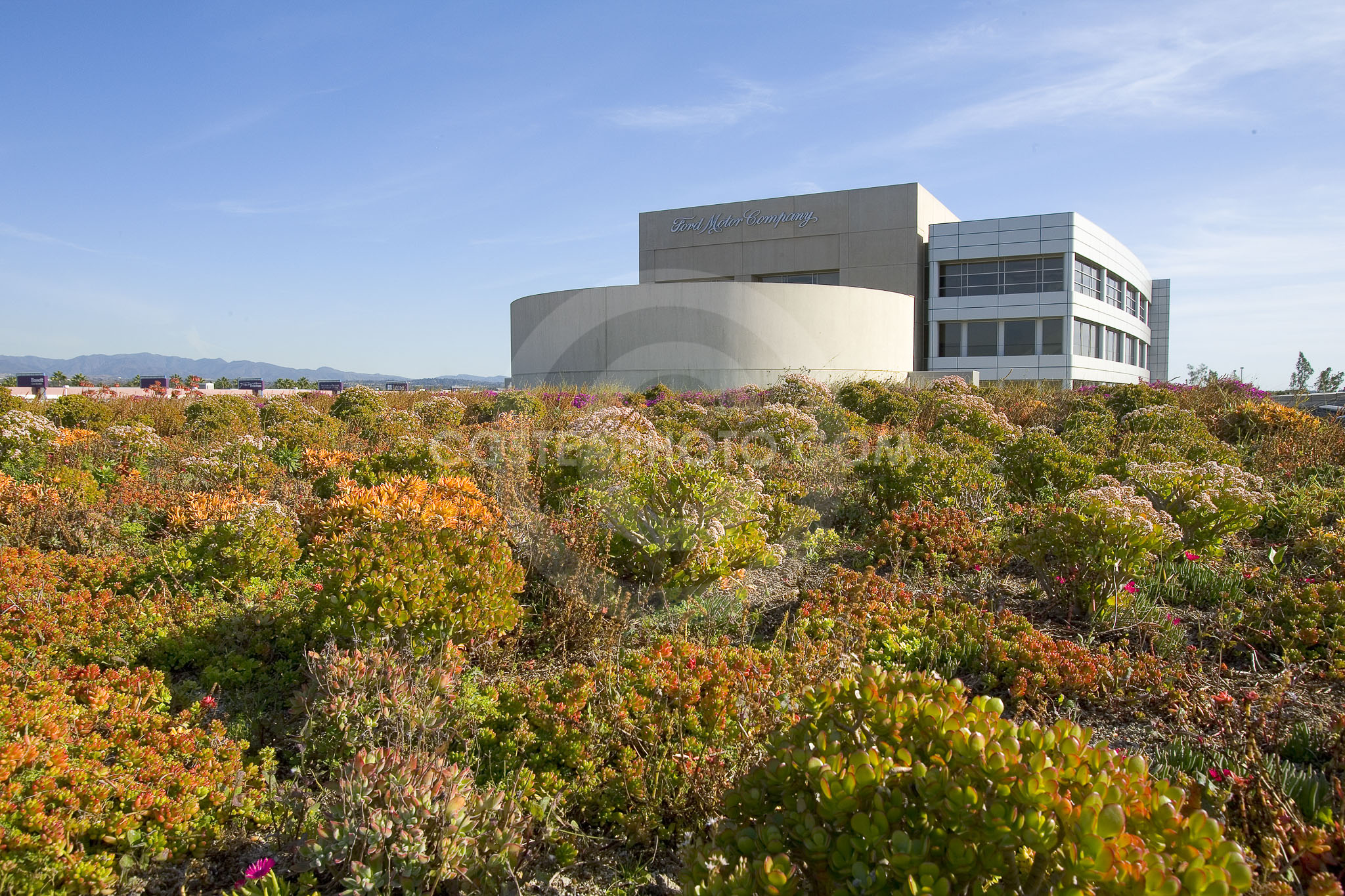 PAG Green Roof 034
