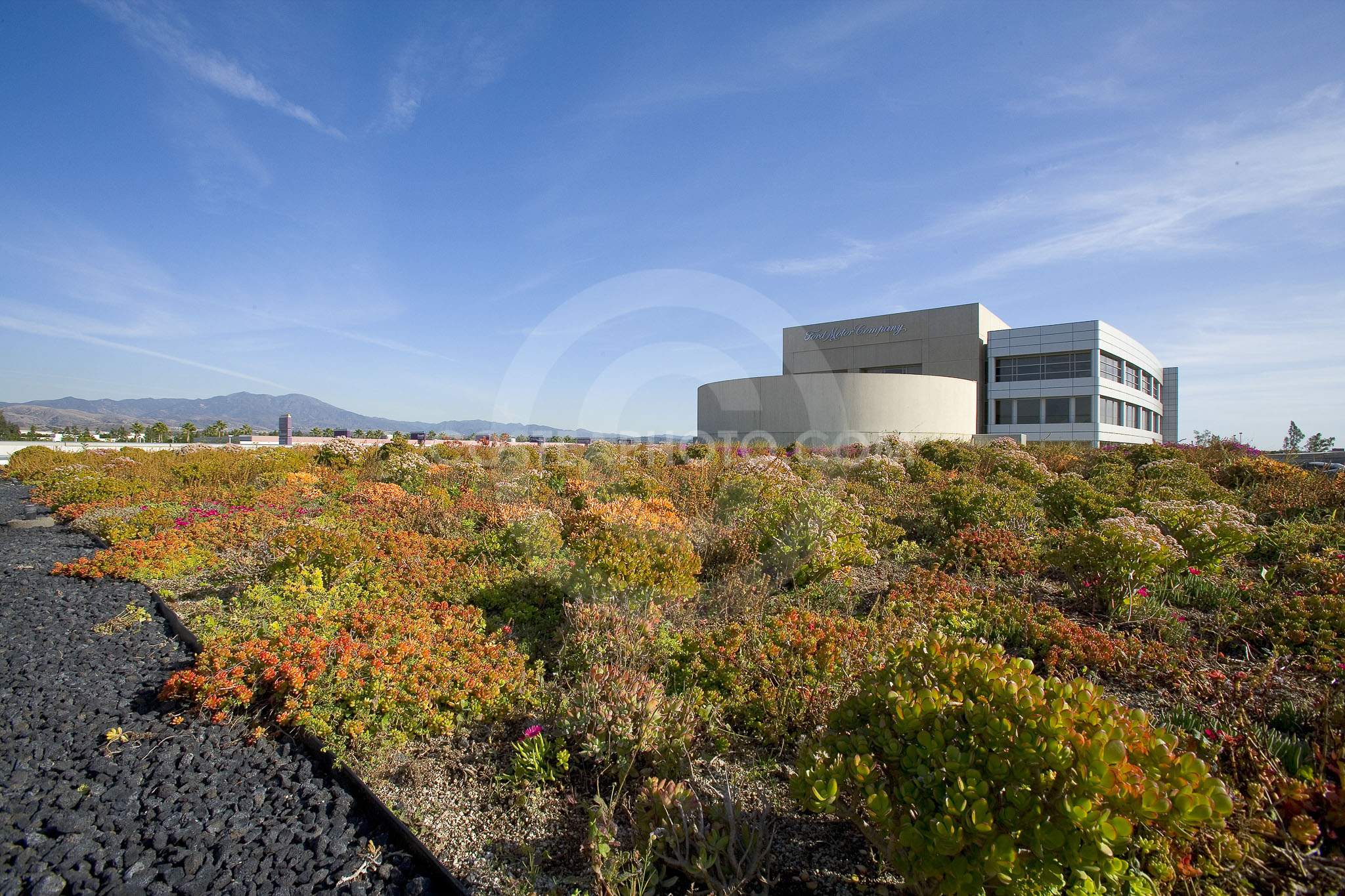 PAG Green Roof 035