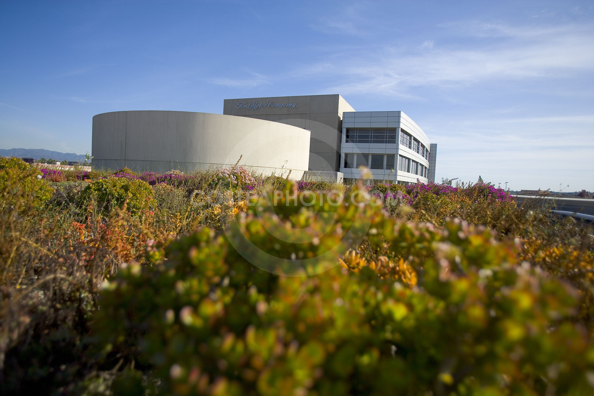 PAG Green Roof 039