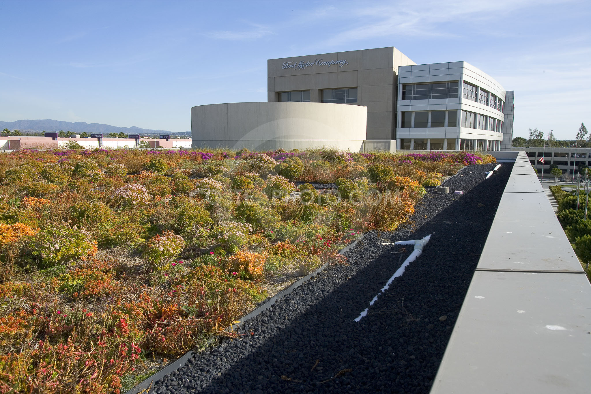 PAG Green Roof 041