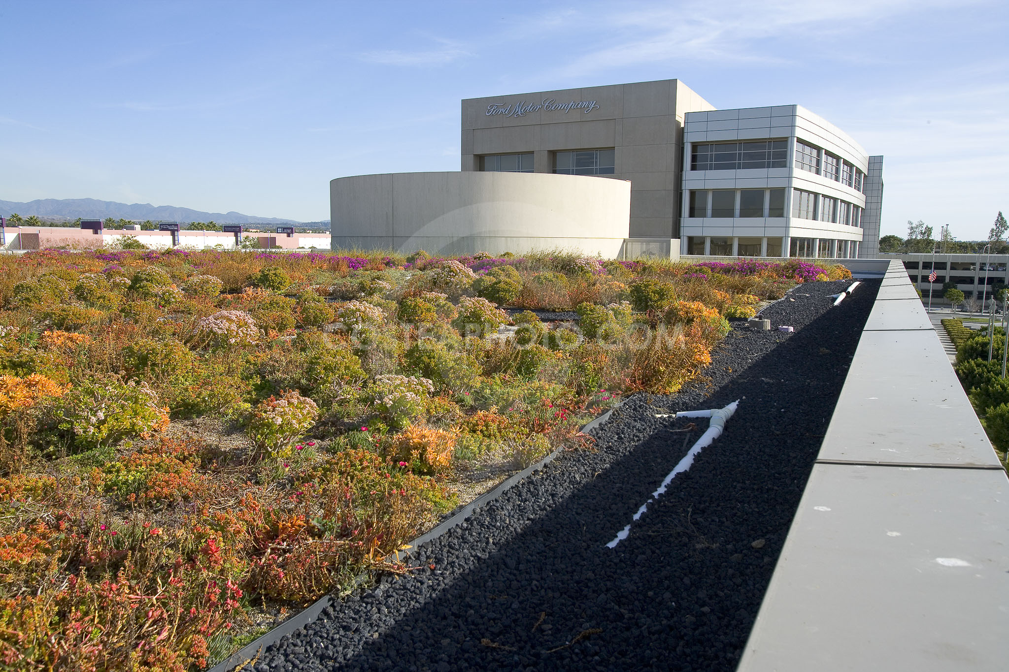 PAG Green Roof 042