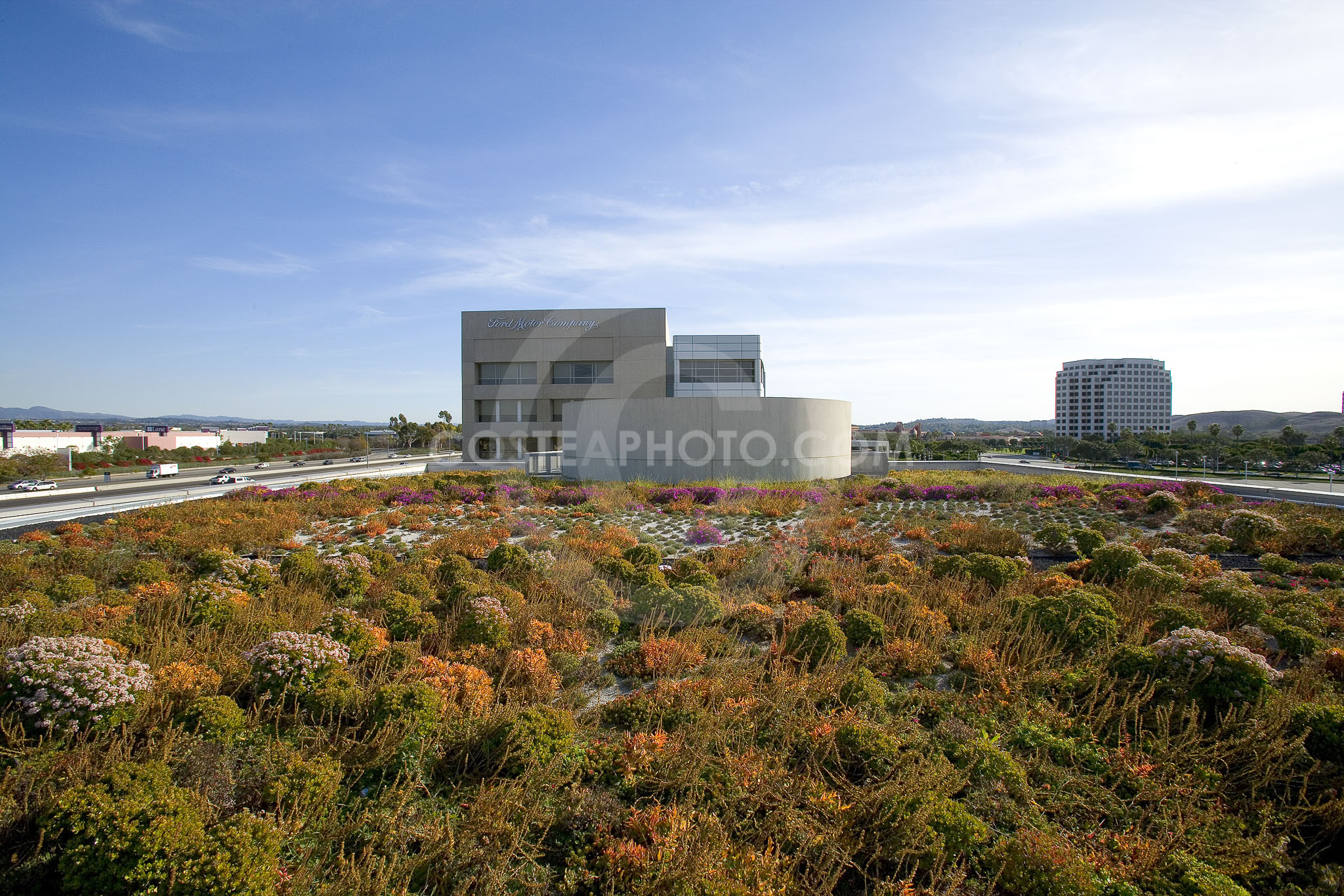 PAG Green Roof 043