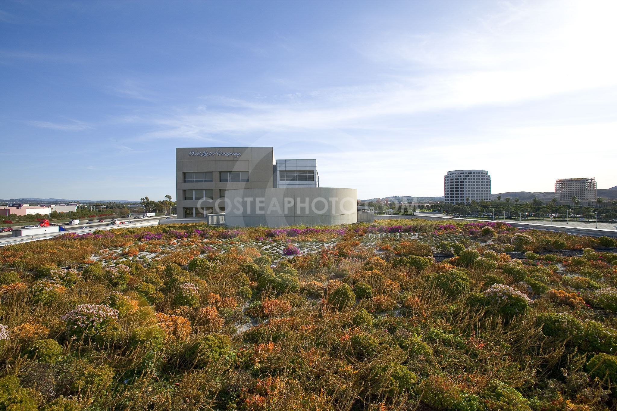 PAG Green Roof 044