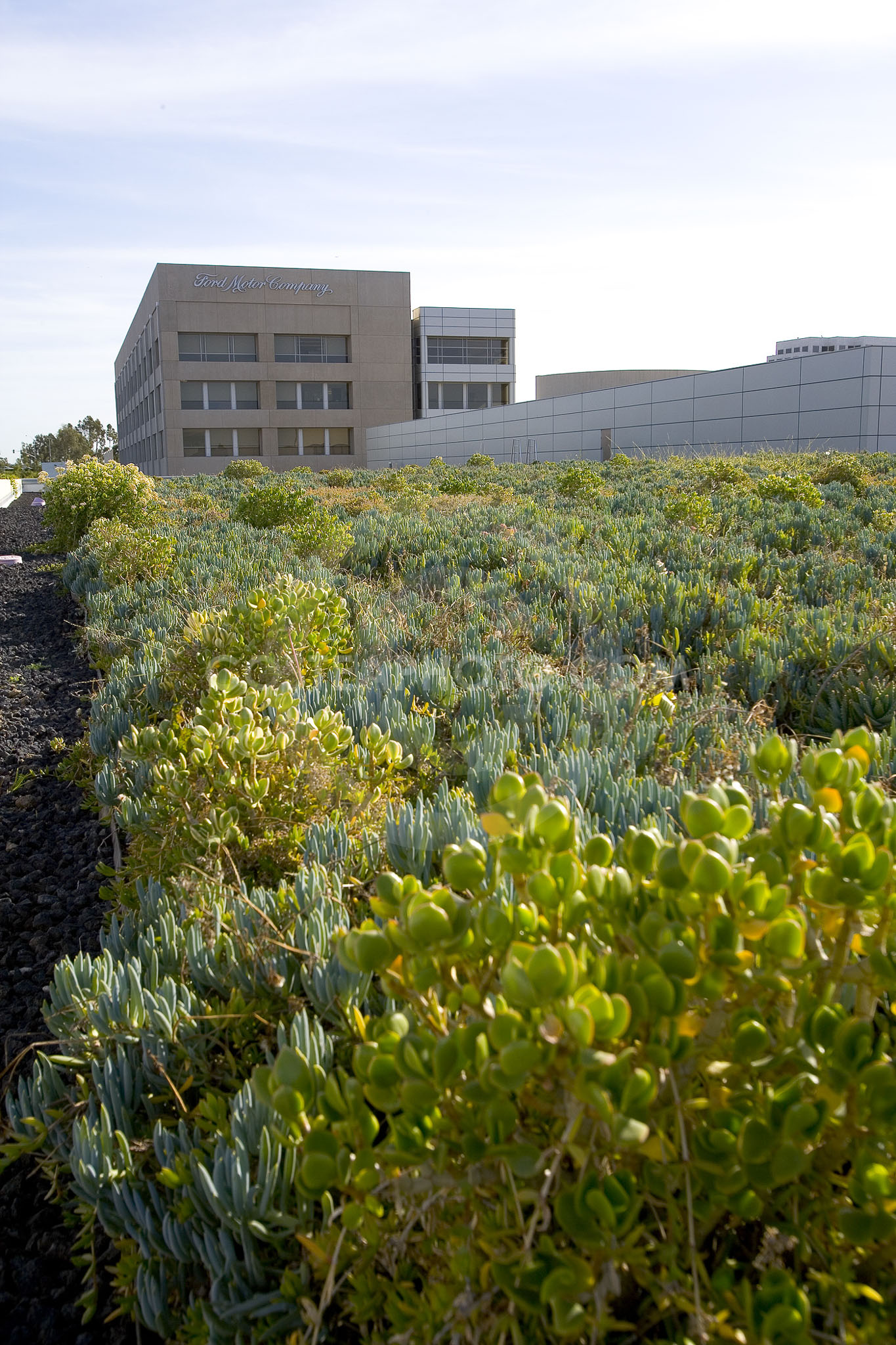 PAG Green Roof 045