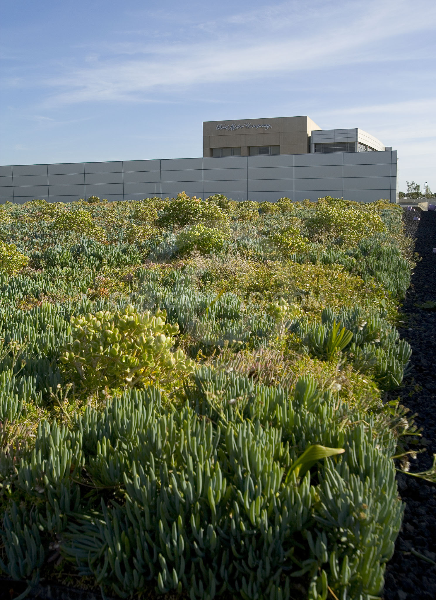 PAG Green Roof 047