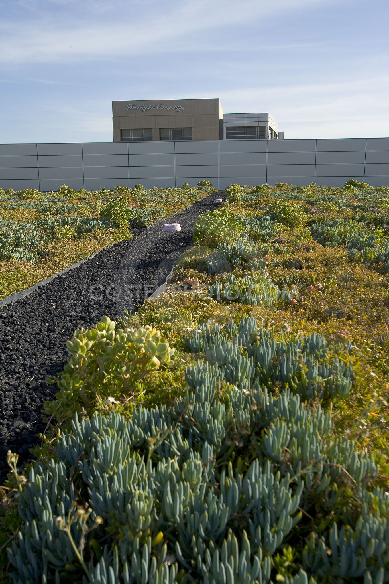 PAG Green Roof 048