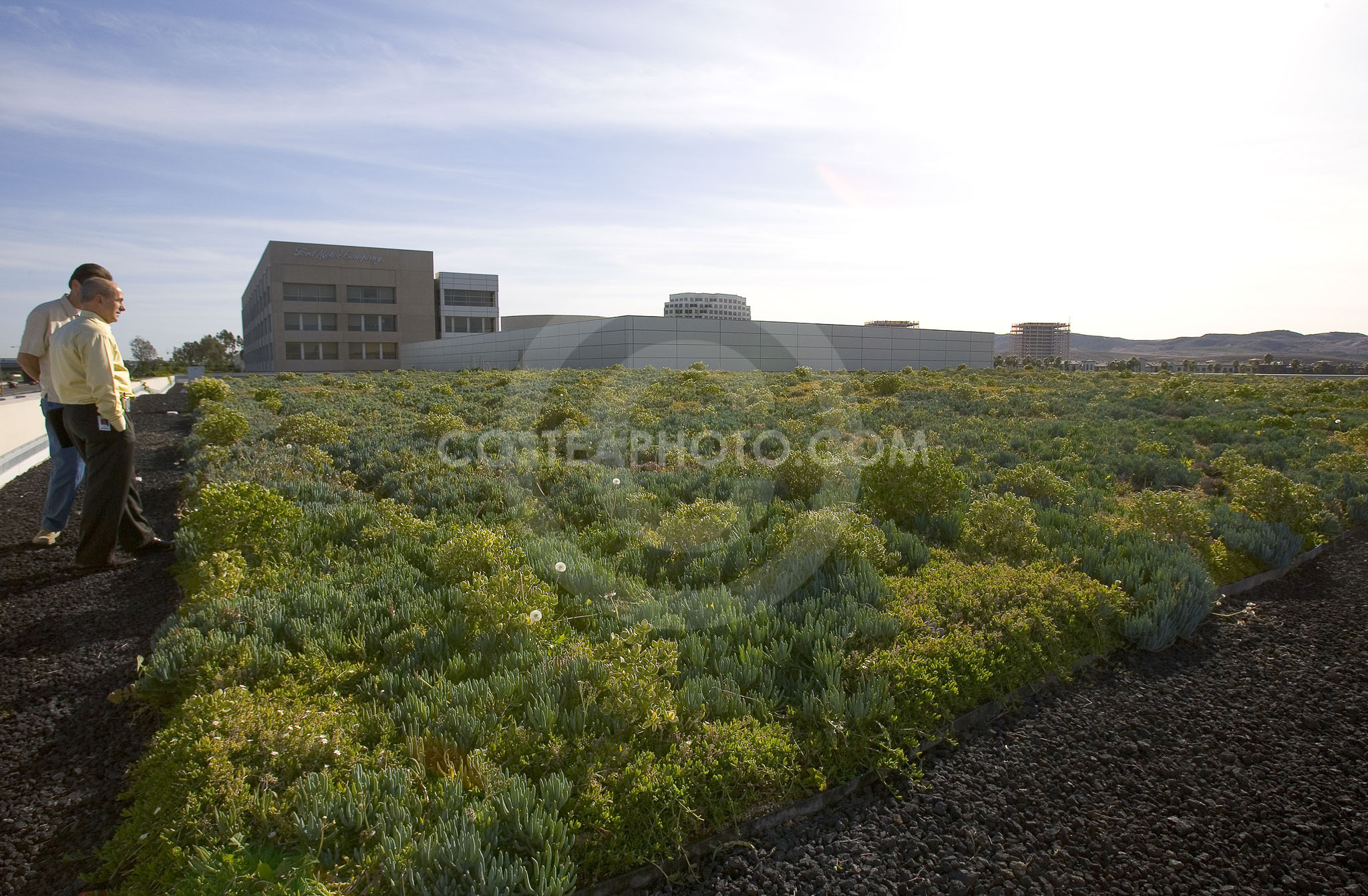 PAG Green Roof 050